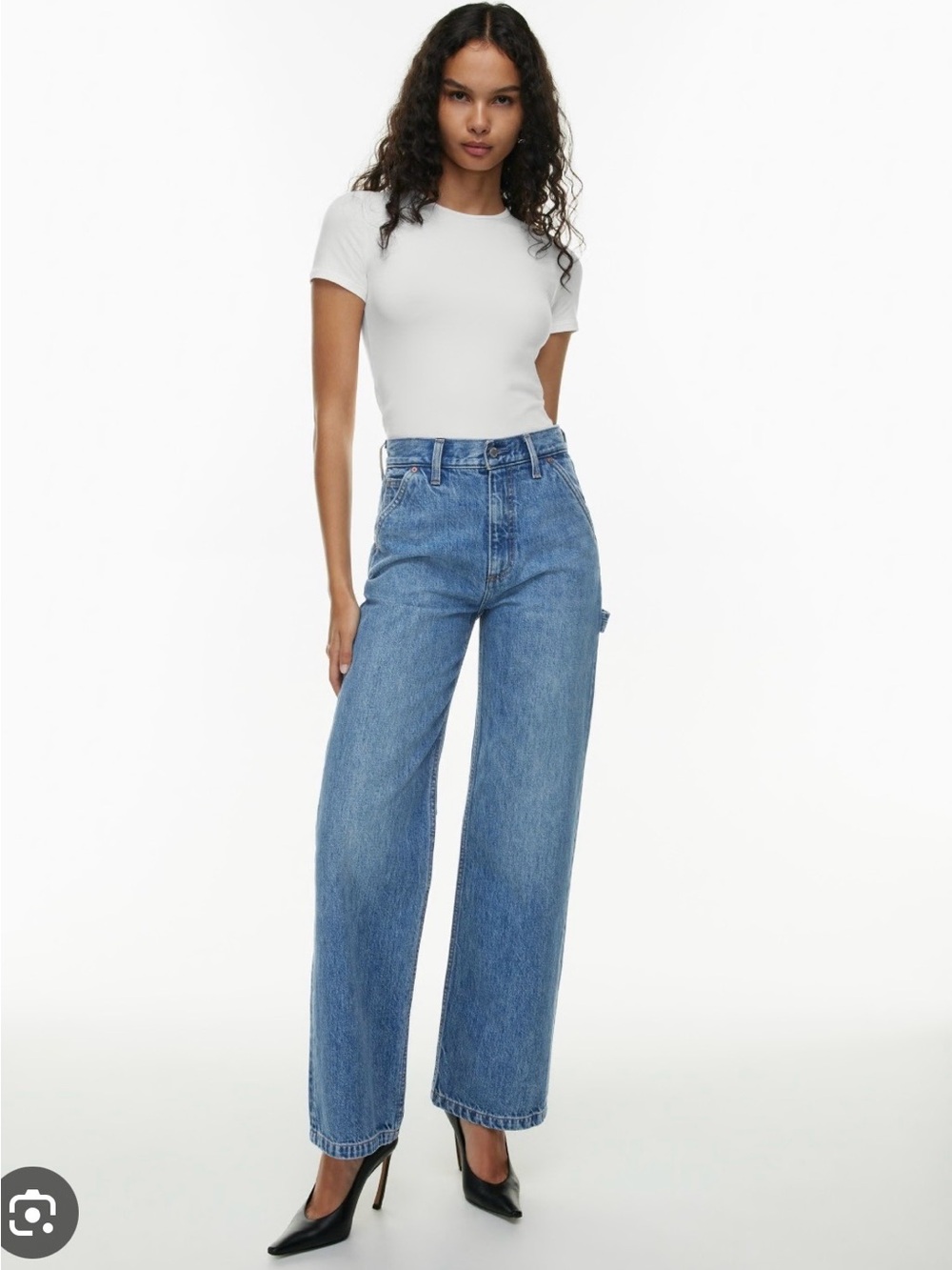 Aritzia Denim Forum Farrah High Rise Carpenter Jeans